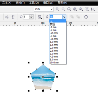 Coreldraw12如何将图片裁剪为想要的形状