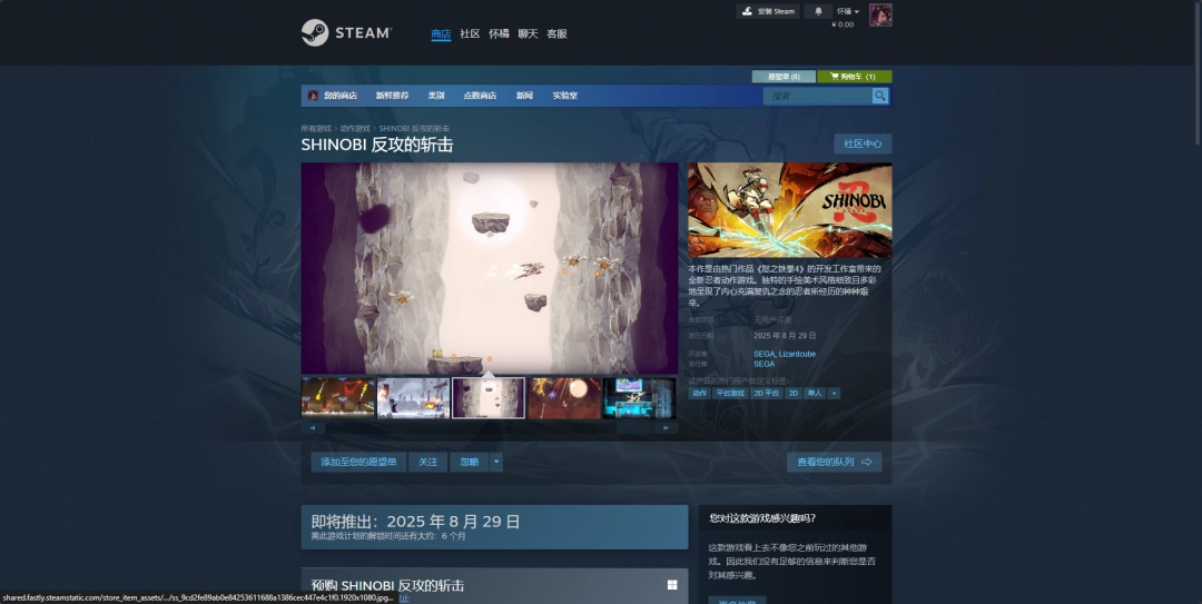 《Shinobi 反攻的斩击》游戏游玩平台介绍