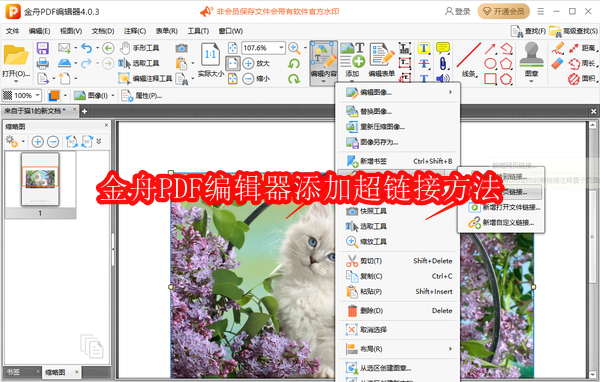 金舟PDF编辑器怎么添加超链接