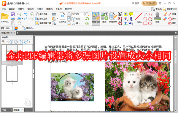金舟PDF编辑器怎么将多张图片设置成大小相同