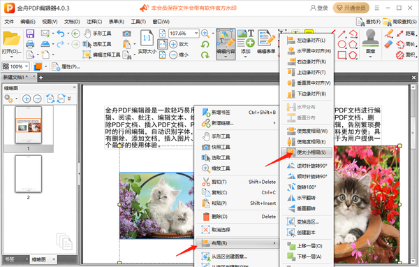 金舟PDF编辑器怎么将多张图片设置成大小相同