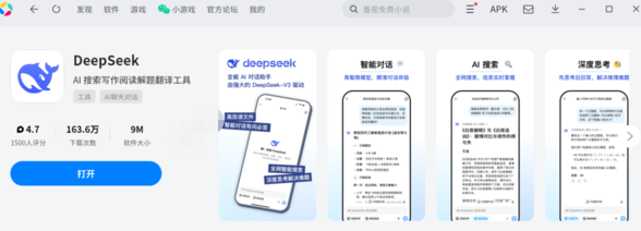 DeepSeek深度思考和联网搜索都是什么意思