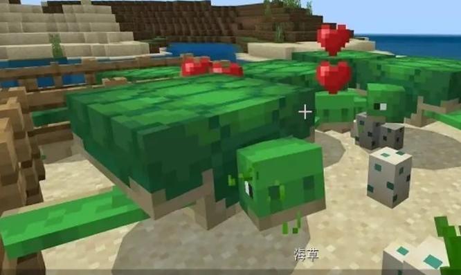我的世界怎么驯服海龟当坐骑2025年