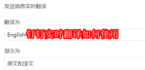 钉钉实时翻译如何使用