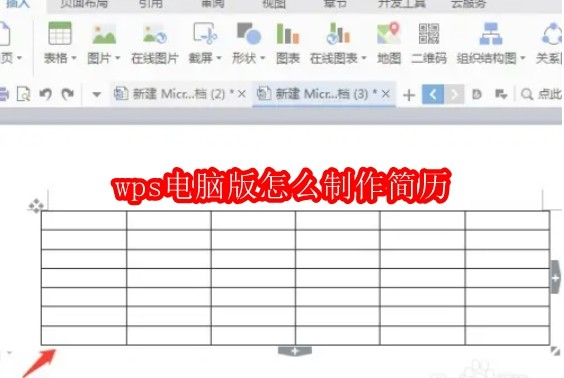 wps电脑版怎么制作简历