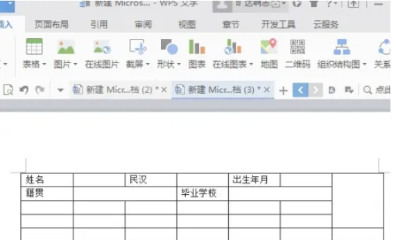 wps电脑版怎么制作简历