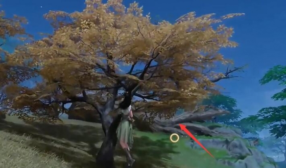 仙剑世界映月坡宝箱收集攻略