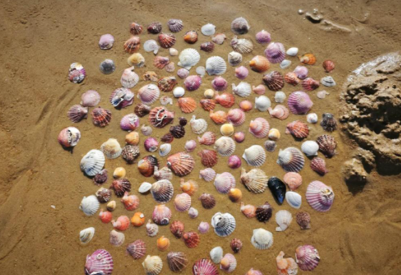 贵金属资产与信用资产有哪些区别 贵金属资产与信用资产区别概述